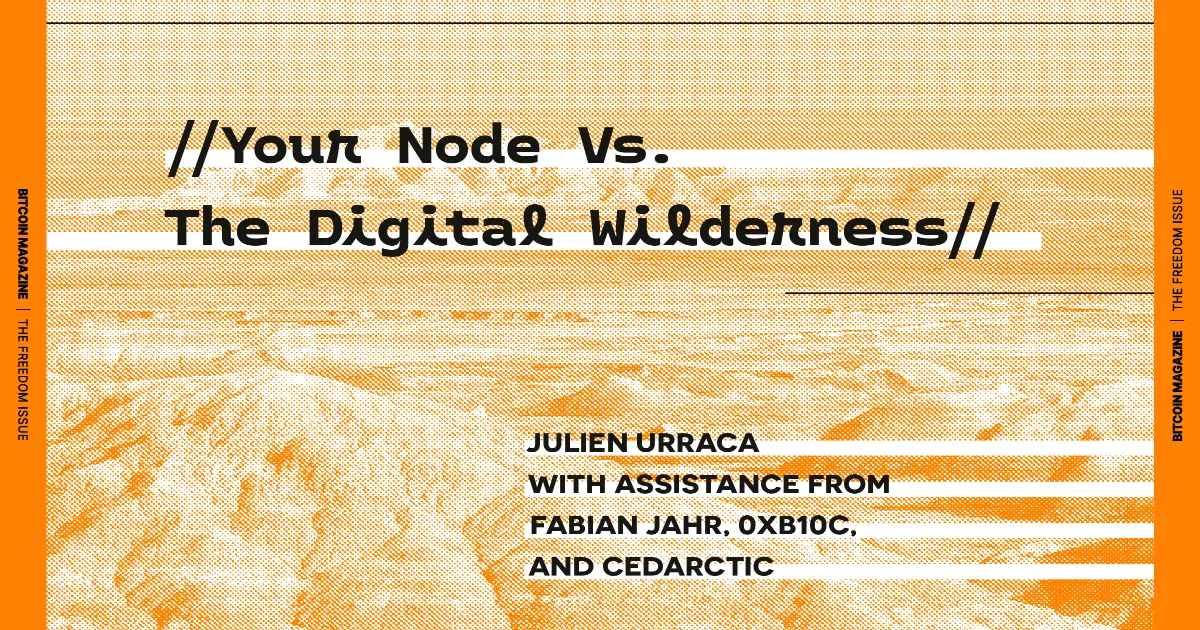 Navigating the Perils: Safeguarding Your Bitcoin Node in the Vast Internet Landscape